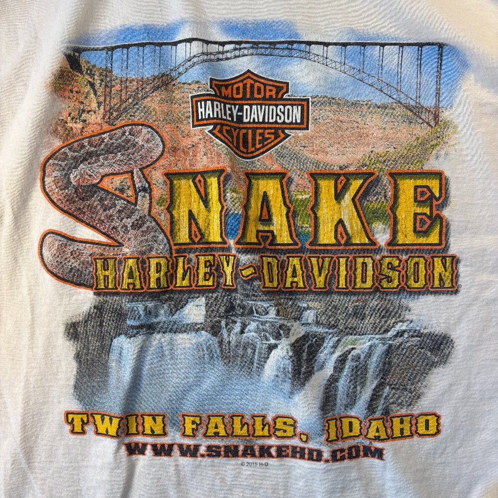Vintage Harley-Davidson-Twin Falls, Idaho (L)